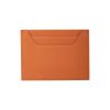 WALLLY BERTHELOTTI CREDIT CARD HOLDER