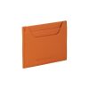 WALLLY BERTHELOTTI CREDIT CARD HOLDER